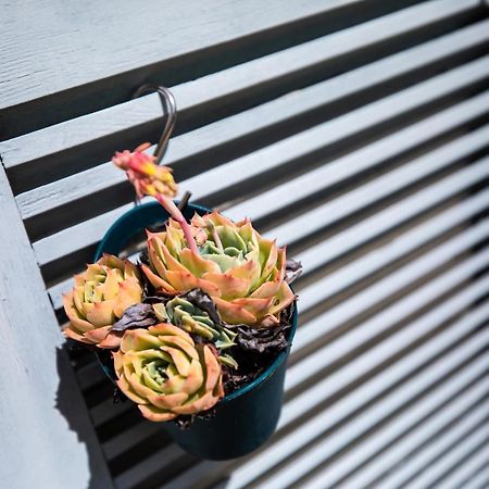 L' Evea Garden Le Relecq-Kerhuon Экстерьер фото